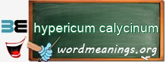 WordMeaning blackboard for hypericum calycinum